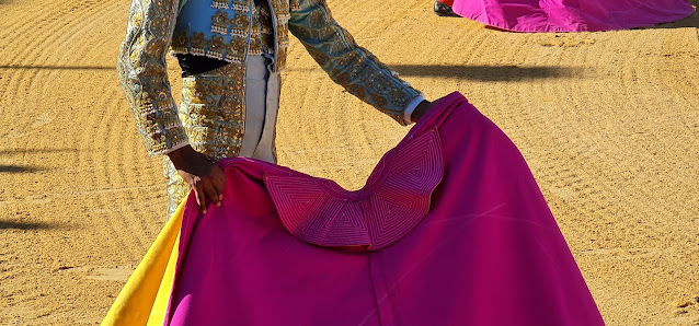 La Agrupación Mexicana de la Tauromaquia, el Arte y la Cultura alza la voz
