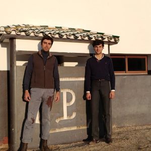 Perera y García Pulido