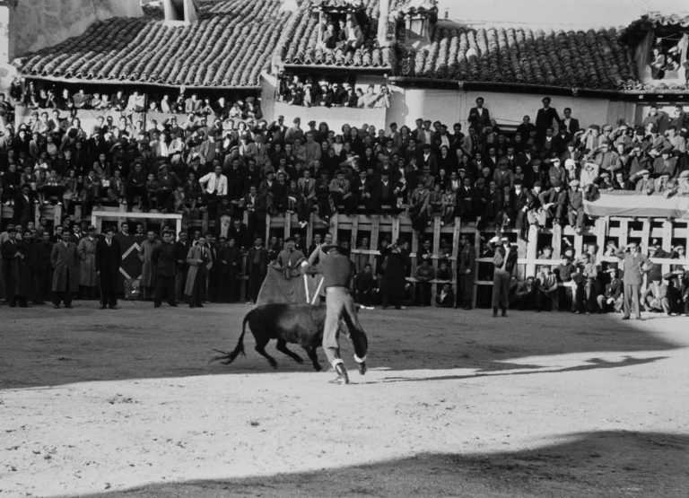 Manolete en Arganda